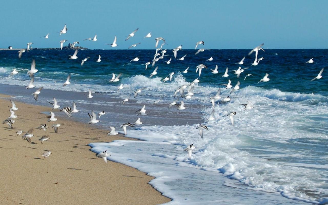 Mon Calme * Piriac-sur-Mer